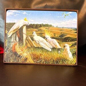 GARY FLEMING PUBLISHING Cockatoo Print Set of 6 Placemats- White Yellow Accent